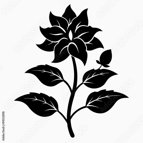Balsam flower Black silhouette