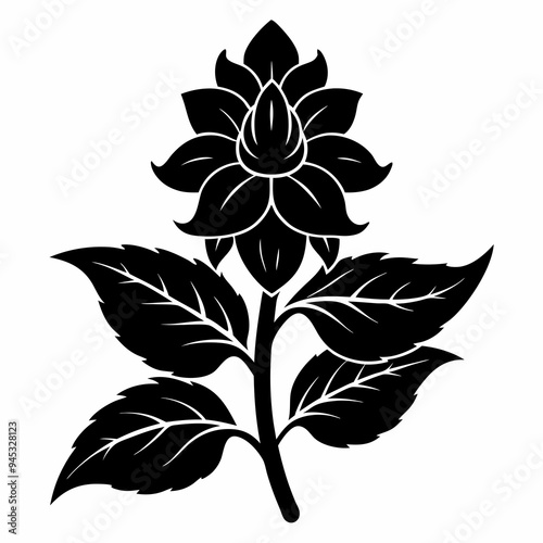 Balsam flower Black silhouette