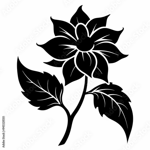 Balsam flower Black silhouette