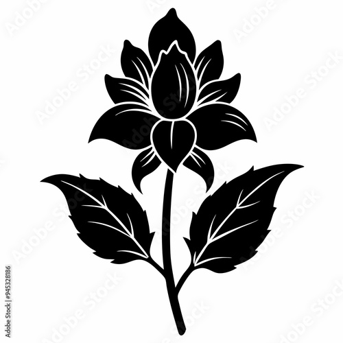 Balsam flower Black silhouette