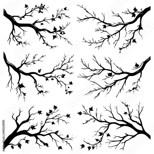 Tree Branch Silhouettes Pack, set of vector black tree branches on white background