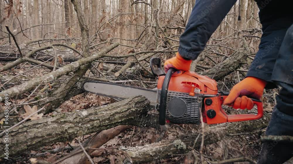 A close-up of a lumberjack working with a chainsaw. Hands in orange gloves are holding the chainsaw, cutting through the tree. Fallen leaves around the tree create an autumn atmosphere A close-up of a lumberjack working with a chainsaw. Hands in orange gloves are holding the chainsaw, cutting through the tree. Fallen leaves around the tree create an autumn atmosphere