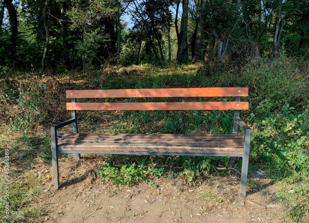 Reckless Acts: A Wooden Park Bench Surrounded by Trees. Reckless Acts: A Wooden Park Bench Surrounded by Trees.