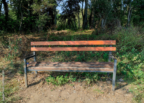 Reckless Acts: A Wooden Park Bench Surrounded by Trees. photo