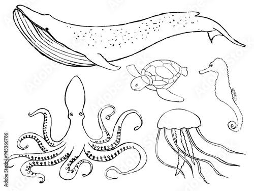 set of had drawn sea animals, whale, octopus, turtle, jelly fish and sea horse