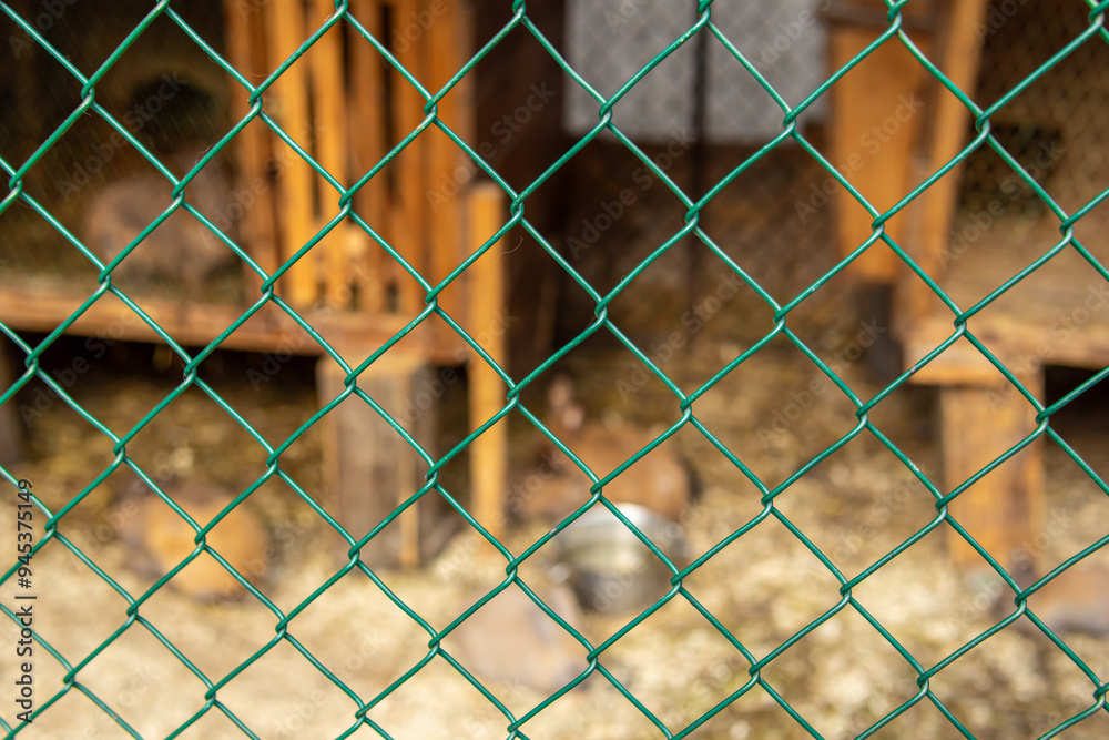 Fototapeta premium Corral grid. An aviary in zoo or on farm. Metal grid