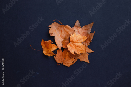 golden autumn leaves on black background