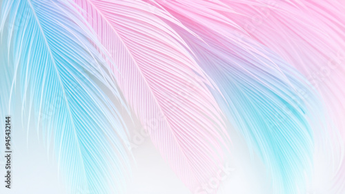 pastel colour feather abstract background