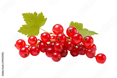 High-resolution redcurrant isolated on transparent background, perfect for culinary design projects, healthy recipes, and organic produce illustrations featuring fresh, vibrant red berries