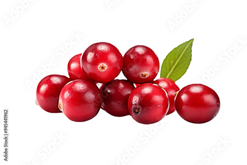 Freshly picked cranberry isolated on transparent background for culinary projects, holiday recipes, and organic food illustrations featuring vibrant red berries