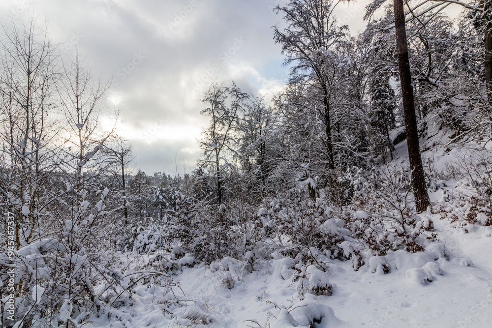 Winter view of a snow covered forest in Prachovske skaly rocks in Cesky raj (Czech Paradise) region, Czech Republic Winter view of a snow covered forest in Prachovske skaly rocks in Cesky raj (Czech Paradise) region, Czech Republic
