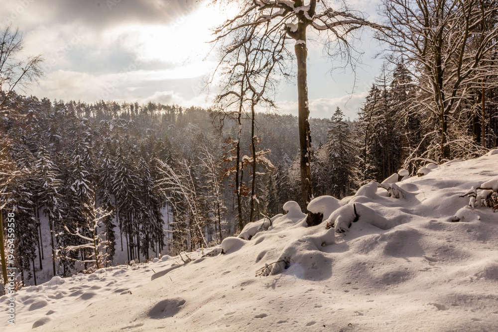 Φωτογραφία Winter view of a landscape of Prachovske skaly rocks in Cesky raj (Czech Paradis