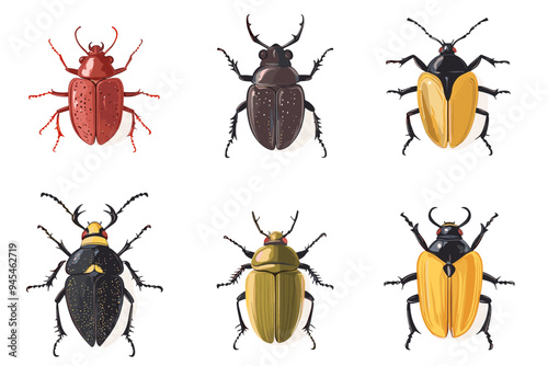 Vector drawing set of bugs, beetles and insects hand drawn insect isolated at white background