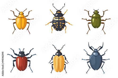 Vector drawing set of bugs, beetles and insects hand drawn insect isolated at white background