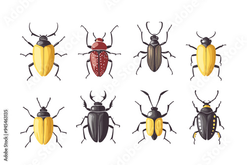 Vector drawing set of bugs, beetles and insects hand drawn insect isolated at white background