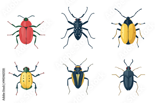 Vector drawing set of bugs, beetles and insects hand drawn insect isolated at white background