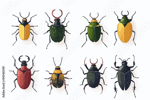 Vector drawing set of bugs, beetles and insects hand drawn insect isolated at white background photo