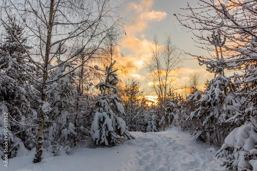 Winter view of a path in Prachovske skaly rocks in Cesky raj (Czech Paradise) region, Czech Republic photo