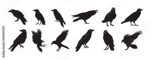 Crow isolated black silhouette set. Crows, raven halloween Dark birds icon clipart