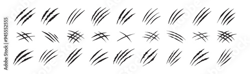 Claw scratches isolated. Black Bear tiger claws trails, animal scratched white paper. Flat scratch marks, racy wild beast tracks clipart