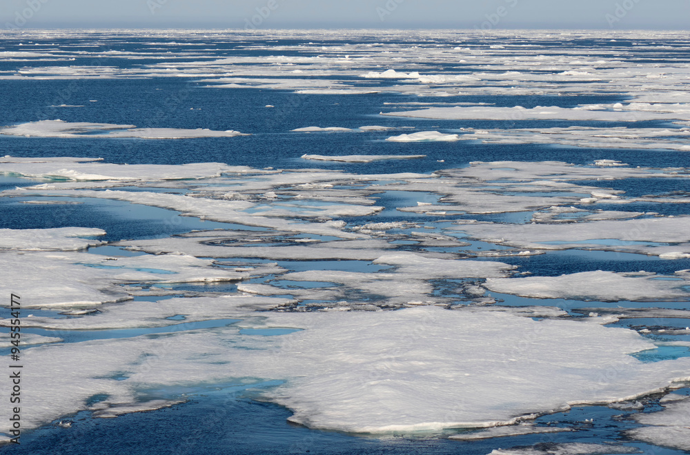 Fototapeta premium Arctic pack ice near the Svalbard archipelago