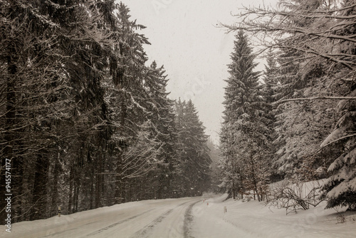 Winter view of I/11 road near Suchy vrch mountain, Czech Republic photo