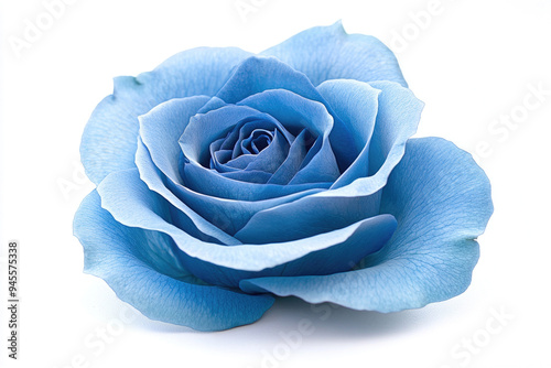 A blue rose isolated against a white background.