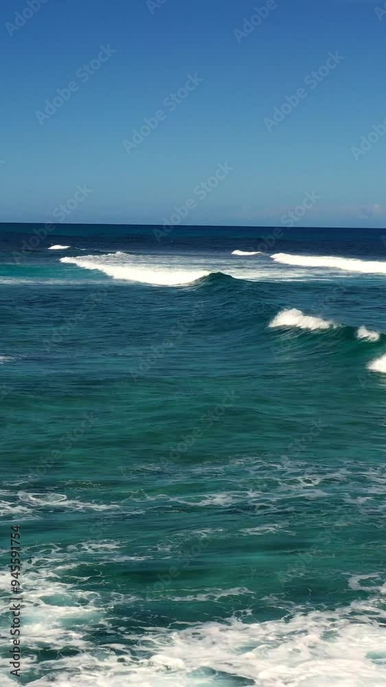 Vertical video showcasing a vibrant reef and crashing waves. High-quality footage perfect for highlighting underwater beauty and coastal scenery. Ideal for travel and marine content. Vertical video showcasing a vibrant reef and crashing waves. High-quality footage perfect for highlighting underwater beauty and coastal scenery. Ideal for travel and marine content.