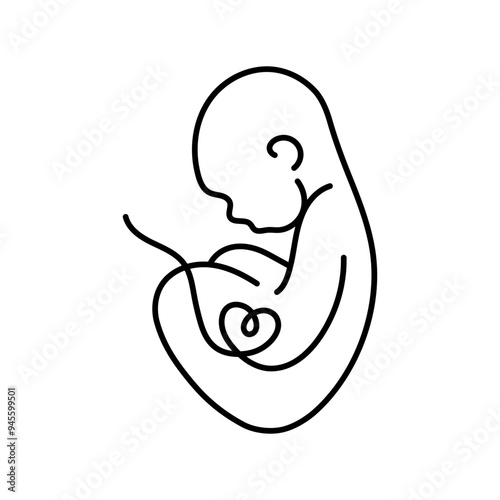 Baby Fetus silhouette line art. Birth announcement. Embryo with heart. Motherhood. Pregnancy. Vector.