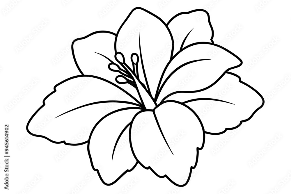 Obraz premium hibiscus flower engraving black and white outline