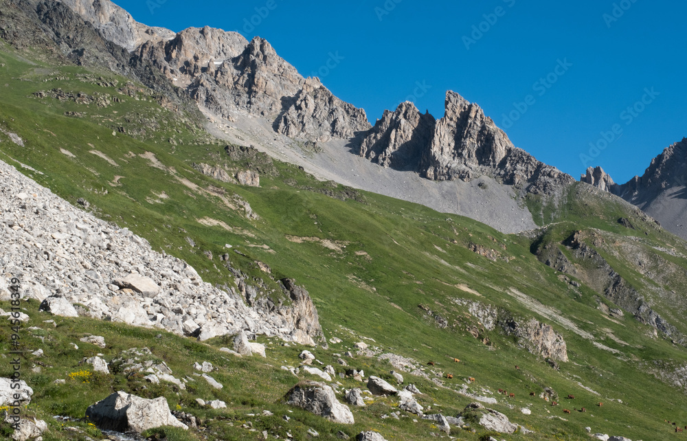 Vanoise valley. Alps. France. Vanoise valley. Alps. France.