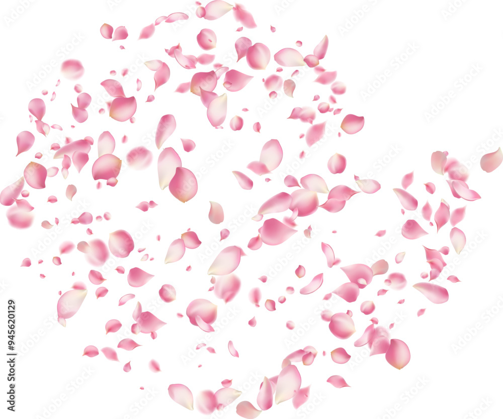 Pink rose petals fall on abstract floral background with gorgeous rose petal greeting card design,Flower flying background,cherry blossom Pink rose petals fall on abstract floral background with gorgeous rose petal greeting card design,Flower flying background,cherry blossom