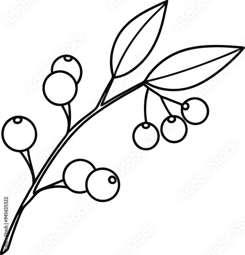 Delightful branch with few berries for kids to color and imagine their own world
