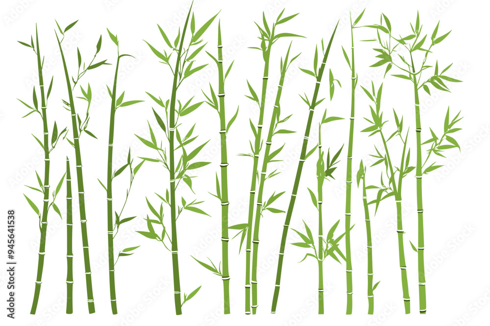 Fototapeta premium Bamboo forest stems. Jungle bamboo stems silhouettes, bamboo branches with leaves, decorative bamboo flat vector illustration set