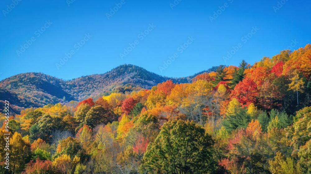 Autumn forest with alpine scenery
