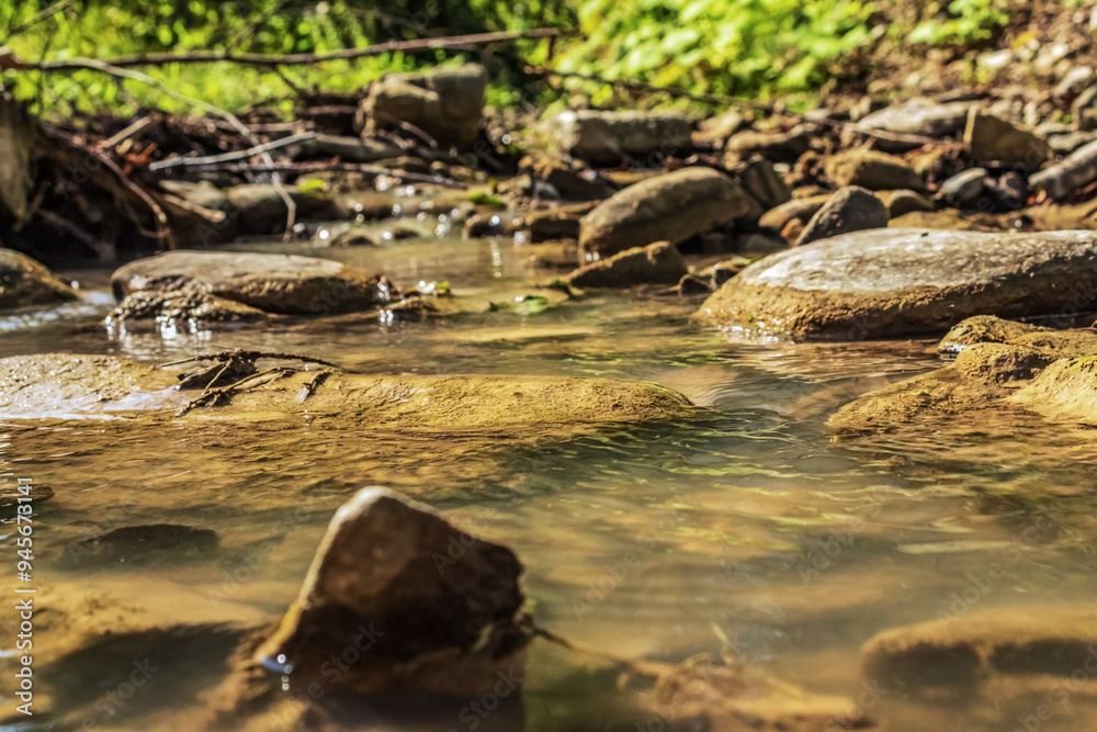 Obraz premium Landscapes - Forest - Europe, Romania, Suceava region