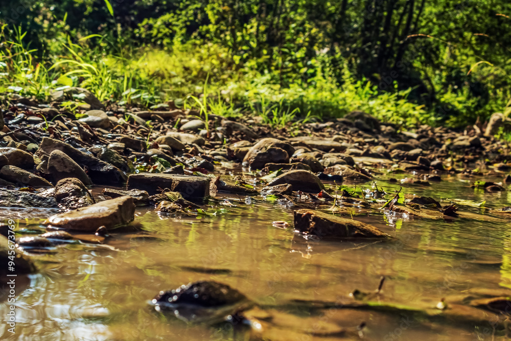 Obraz premium Landscapes - Forest - Europe, Romania, Suceava region