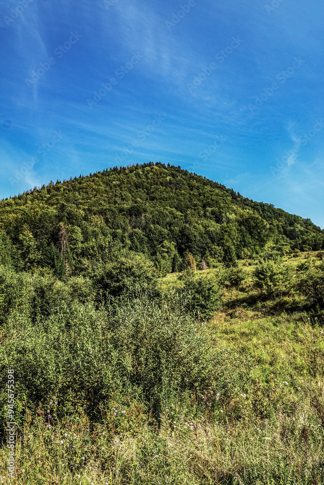 Landscapes - Forest - Europe, Romania, Suceava region Landscapes - Forest - Europe, Romania, Suceava region
