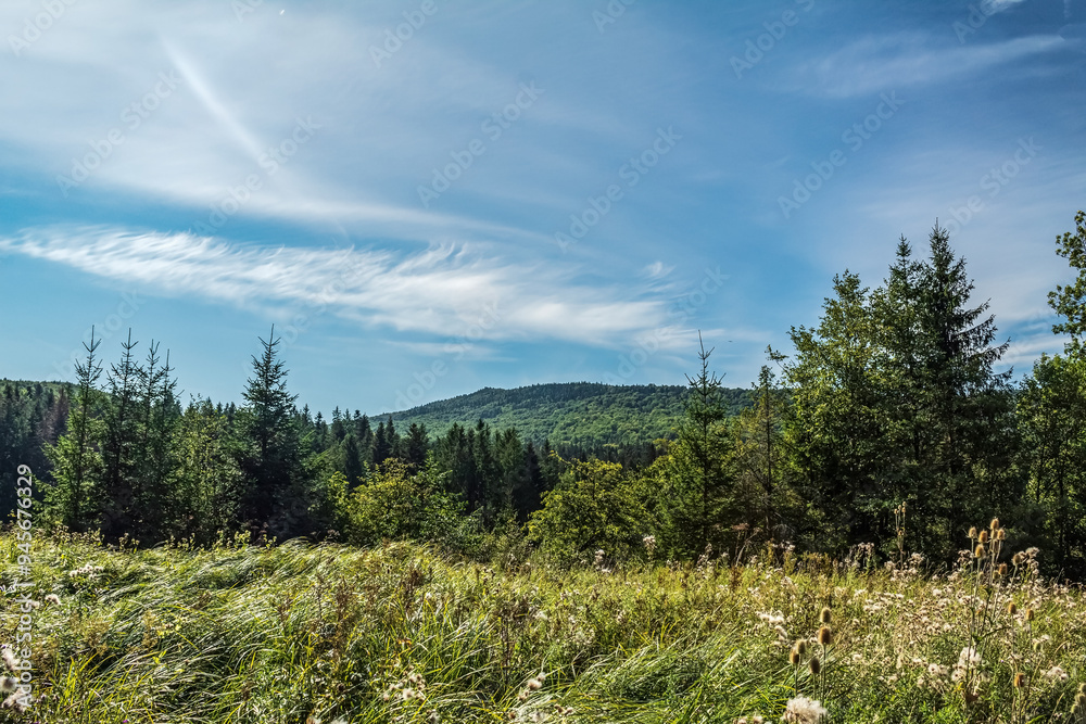 Landscapes - Forest - Europe, Romania, Suceava region Landscapes - Forest - Europe, Romania, Suceava region