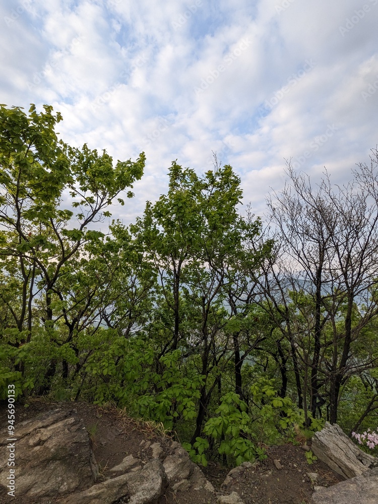 등산풍경 등산풍경
