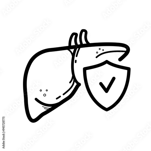 Liver with shield with check mark. Liver protection vector icon