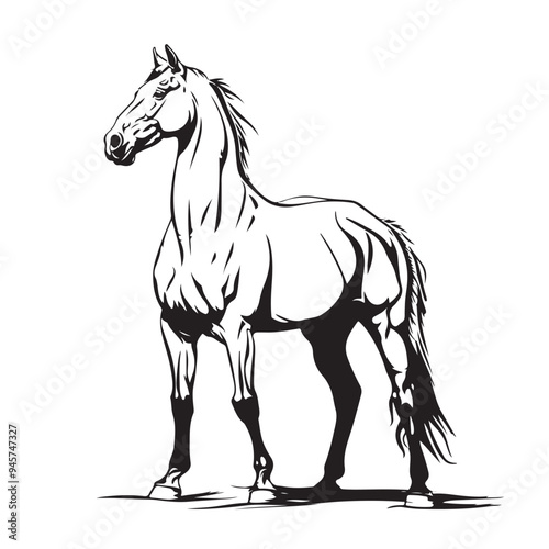 Standing Mustang Horse Black And White Vector Outline Portrait Stock Illustration photo