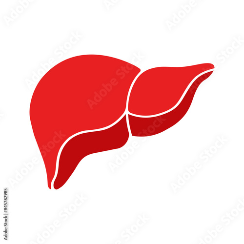Human Liver Red Glyph Icon On White background. Medical Healthcare Education Vector Illustration