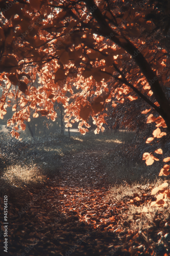 Fototapeta premium Autumn