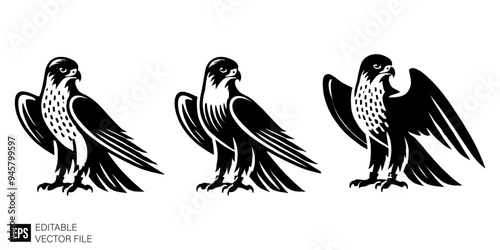 set of falcon graphic design vector clip art black and white silhouette templates
