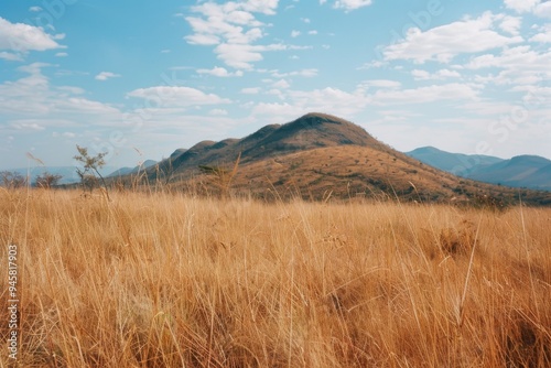 Autumn wild grass and peaks in the distance