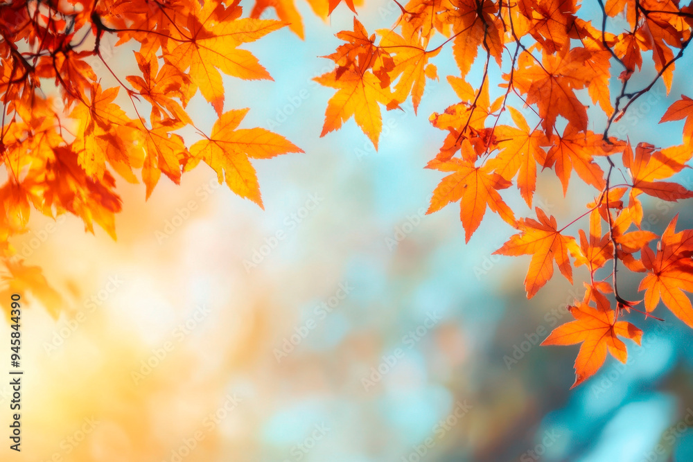 Autumn leaves on the sun. Fall blurred background.