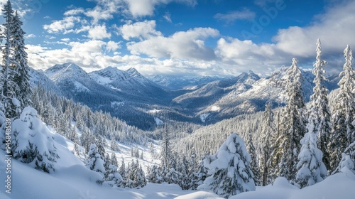 A panoramic view of snow-covered mountains with a valley filled with evergreen trees.