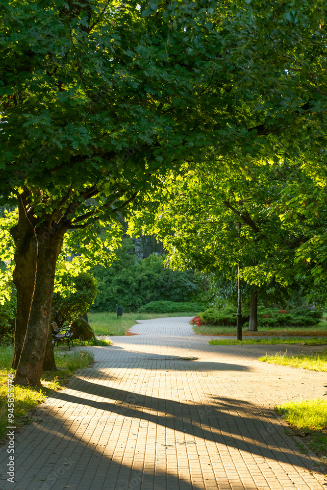 Obraz premium Path in the park at sunset. Beautiful landscape.