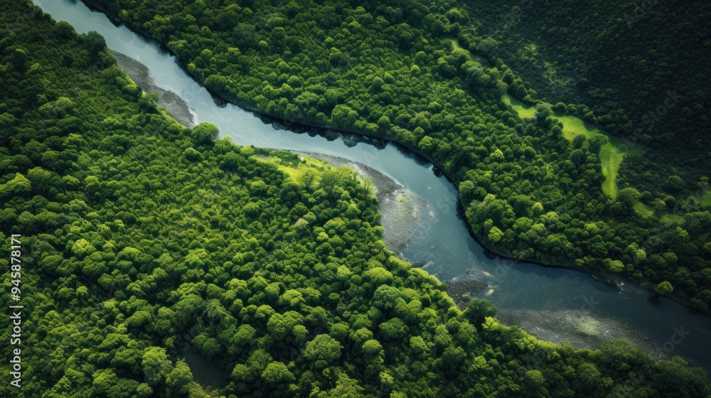 An aerial view of a winding river cutting through a dense forest An aerial view of a winding river cutting through a dense forest